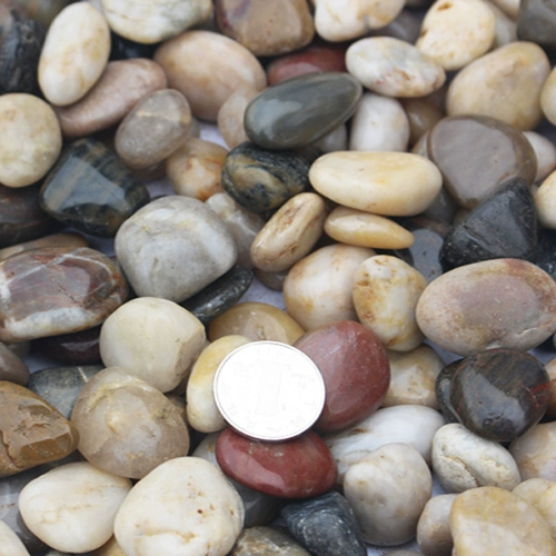 Дождь Цветок Пяти -Королевшиеся гальки -ландшафтные декоративные фоновые стена Каменная тротуар цветок и рыбака ландшафтная вода Кластер Песчаник