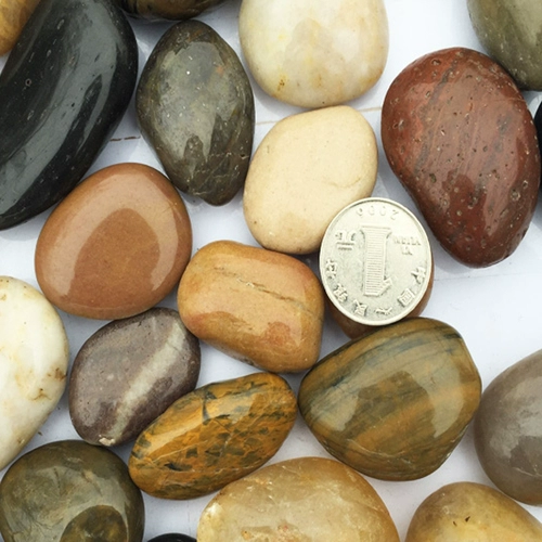 Дождь Цветок Пяти -Королевшиеся гальки -ландшафтные декоративные фоновые стена Каменная тротуар цветок и рыбака ландшафтная вода Кластер Песчаник