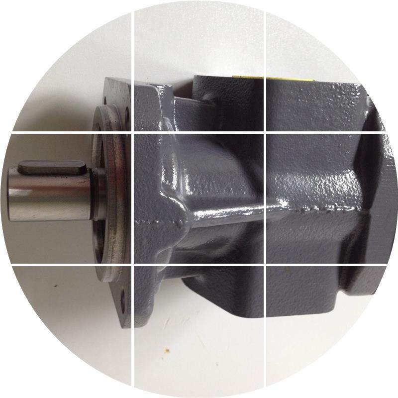 现货德国  齿轮泵 油泵 GERA PUMP KF6RF1-D25 KF6RF2-D25,淘宝优惠券,粉丝福利购,淘宝优惠卷