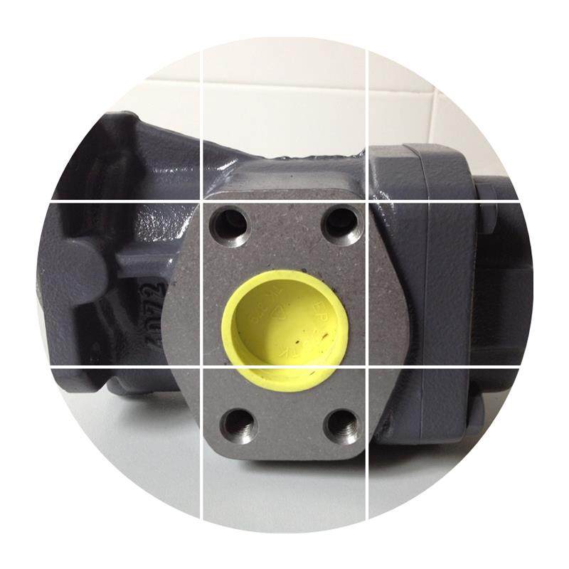 现货德国  齿轮泵 油泵 GERA PUMP KF6RF1-D25 KF6RF2-D25,淘宝优惠券,粉丝福利购,淘宝优惠卷