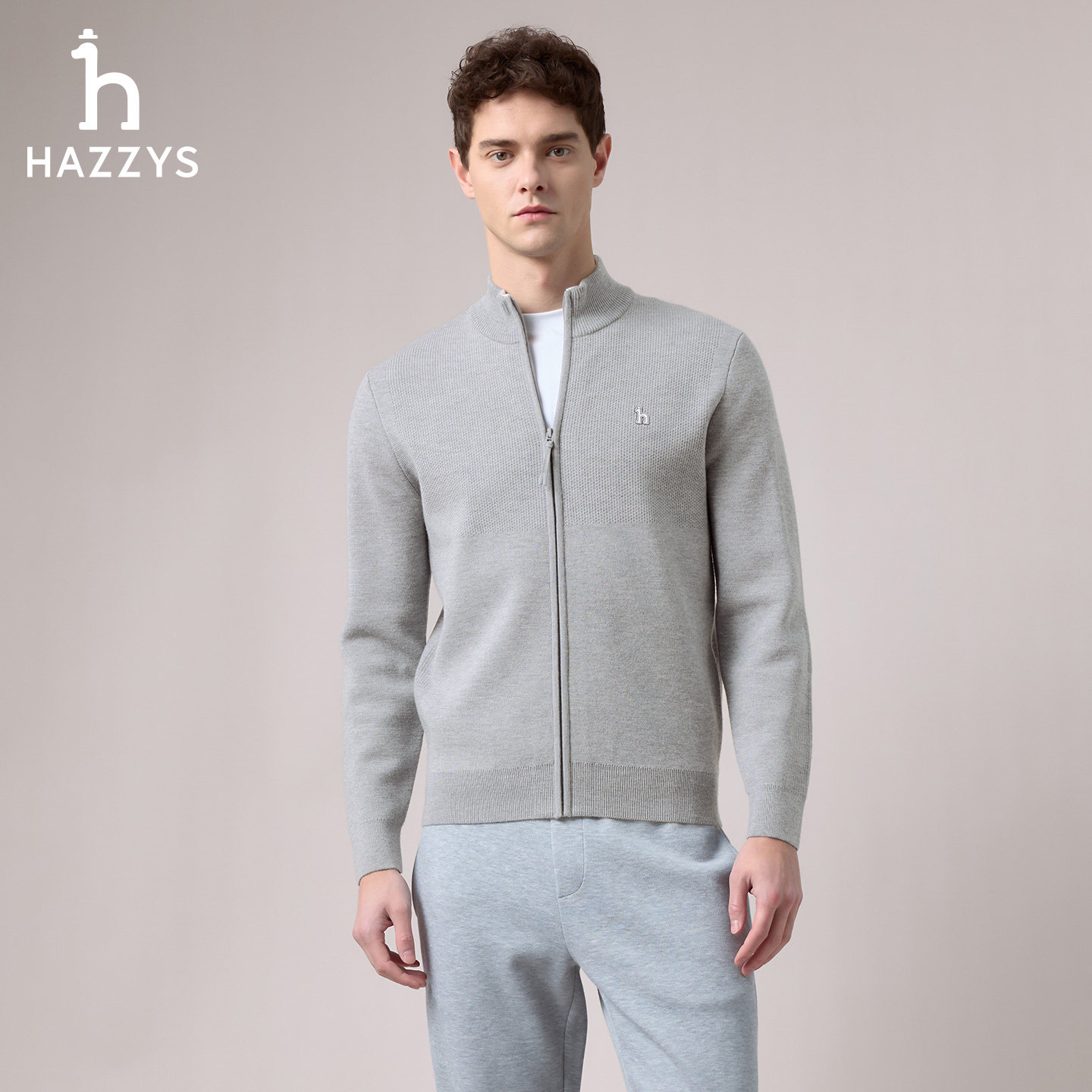 【商场同款】HAZZYS哈吉斯2025秋季新品男装针织休闲拉链开衫上衣,淘宝优惠券,粉丝福利购,淘宝优惠卷
