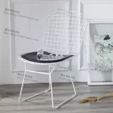 Nordic Creative Hollow Iron Wire Net Chect Compult Computer Stawd