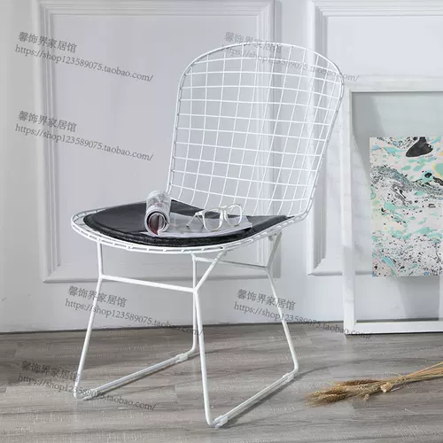 Nordic Creative Hollow Iron Wire Net Chect Compult Computer Stawd