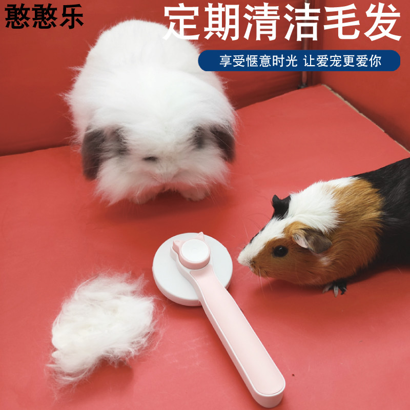 2025新款时尚舒适兔子用品护理兔毛梳豚鼠刷宠物兔子专用浮毛梳子,淘宝优惠券,粉丝福利购,淘宝优惠卷
