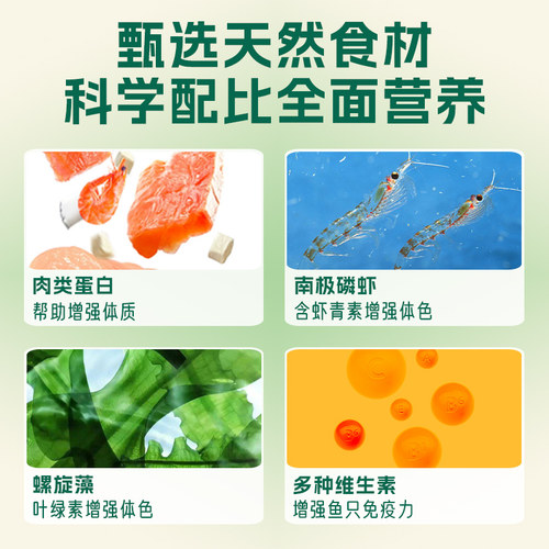 日索小型鱼贴片鱼食孔雀鱼饲料热带鱼金鱼灯鱼饲料通用型小型鱼粮 - 图3