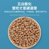 Золотой шелковый медвежье зерно Гравновидение -самооценка