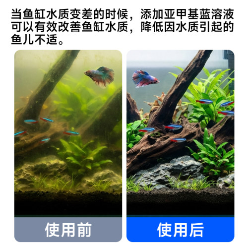 yee亚甲基蓝溶液鱼缸消毒杀菌白点净鱼药烂身烂尾水霉水族鱼专用 - 图0