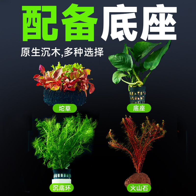 鱼缸水草坨草植物活体增氧阴性生态水培绿植新手懒人造景无需底砂