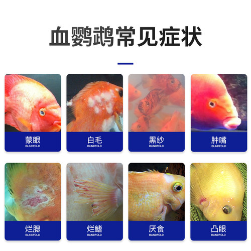 红鹦鹉鱼药疾病非治疗康复杀菌药水烂身烂尾白毛白点专用药剂水族 - 图0