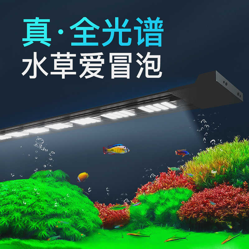 水草led 新人首单立减十元 21年8月 淘宝海外