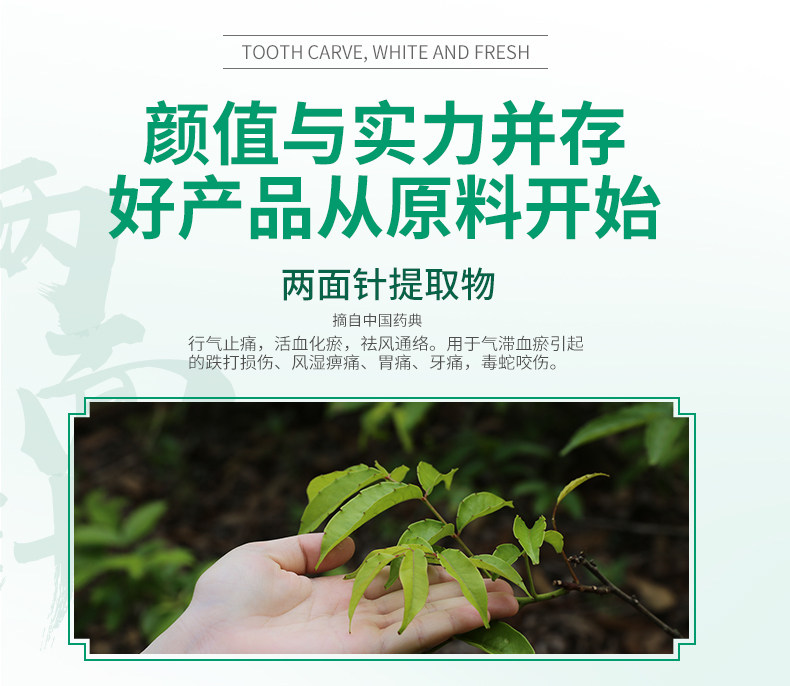 两面针青蒿素护龈120g牙龈护理牙膏 两面针牙膏