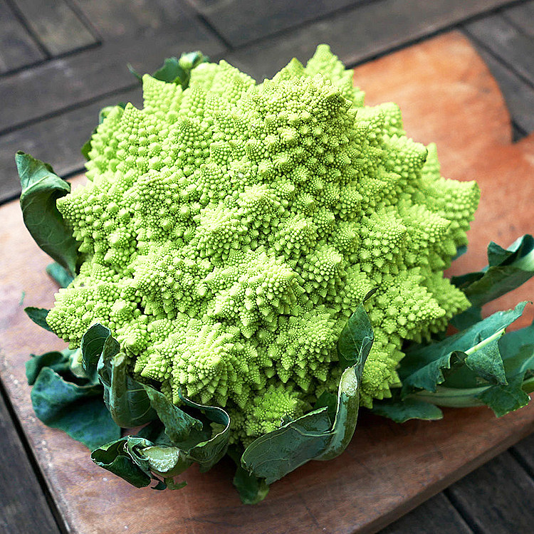 西兰花苗彩色花菜松花菜苗种子白紫黄色花椰菜宝塔菜蔬菜种籽孑