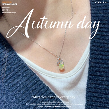 白欧泊项链女款925银小众设计