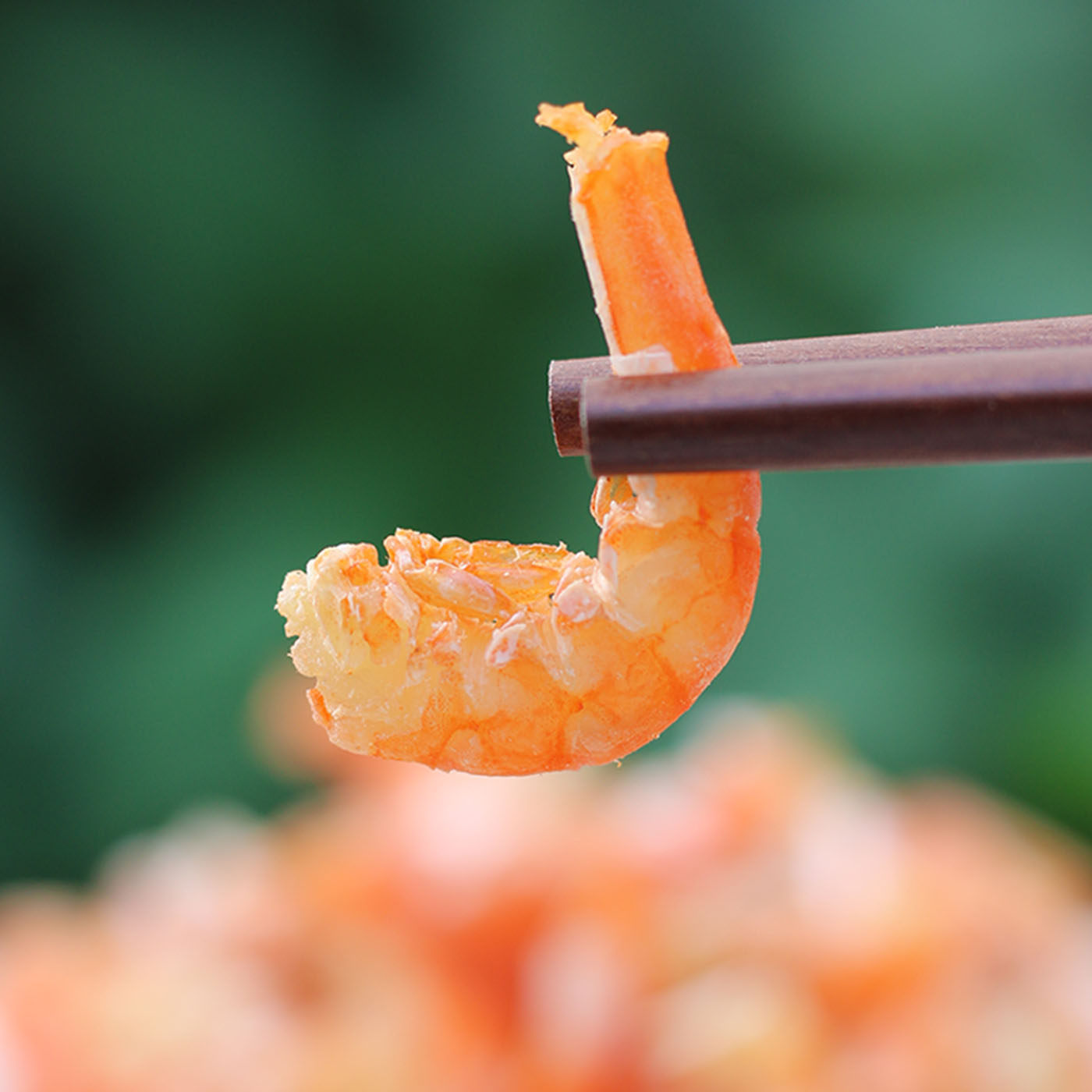 新晒大金钩海米干 大连干虾仁 大号虾米干货 不咸虾肉干 海鲜特产,淘宝优惠券,粉丝福利购,淘宝优惠卷