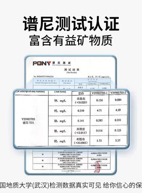 富锶矿化净水器滤芯矿物质改善口感大T33滤芯RO反渗透净水机滤芯