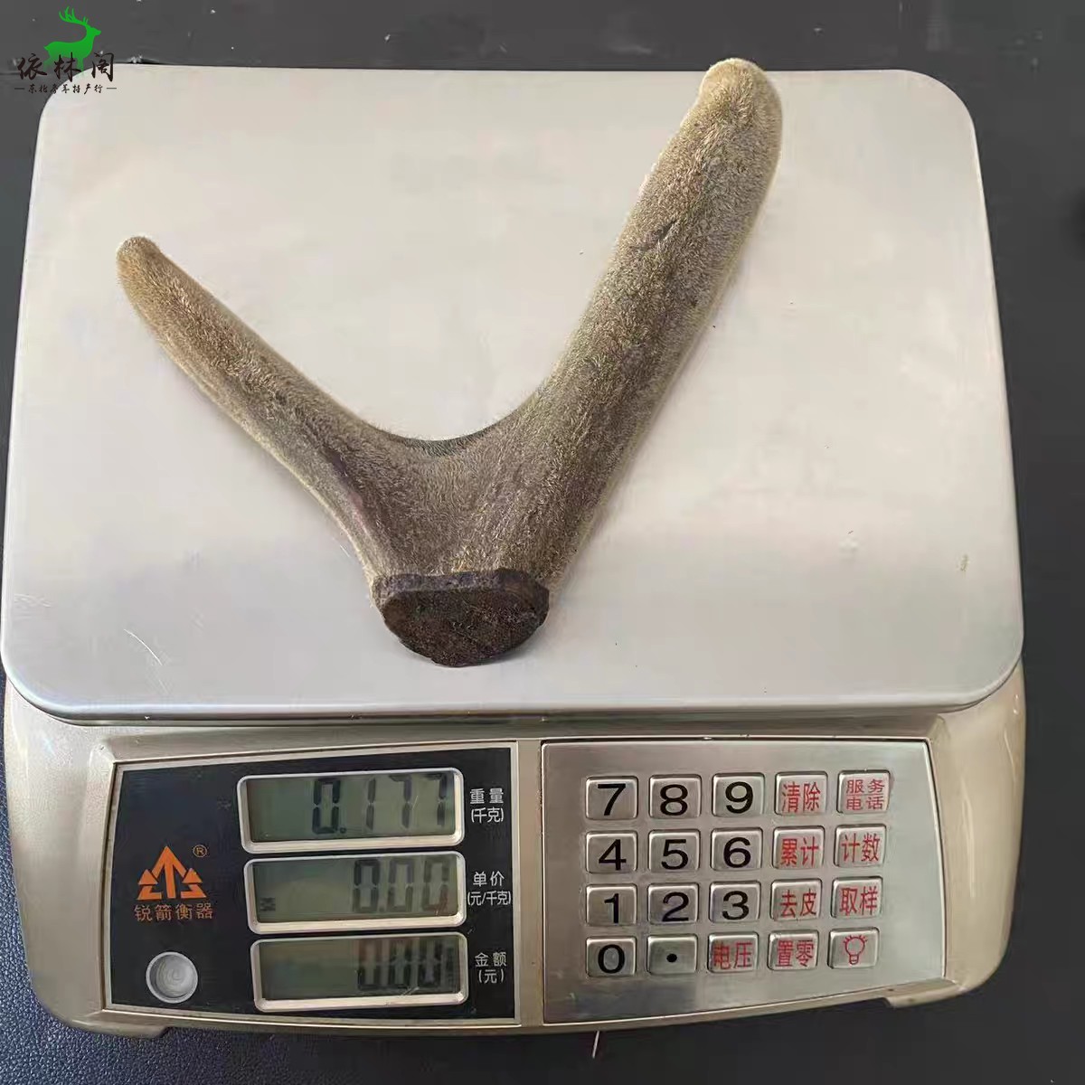 吉林梅花鹿茸整枝鹿茸头茬干鹿茸二杠鹿茸整枝非排血茸鹿茸段可切 - 图1