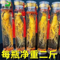6 bottles of ginseng wine Changbai Mountain 52 degrees Medlar Health Preservation Wine Gift Box Dress Northeast Teryield Jilin Fresh 52 ° Old Ginseng