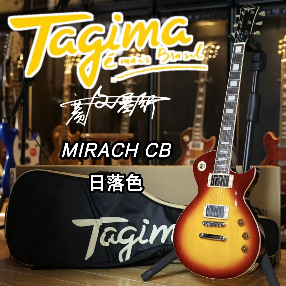 Tagima塔吉玛电吉他TG510 530 T635专业级初学者TW55 - 图3