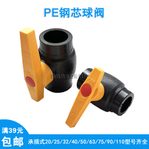 PE steel core ball valve 2025 5063 switch gate valve 4 points 6 points 1 inch valve pipe fittings hot-melt tap water pipe fittings