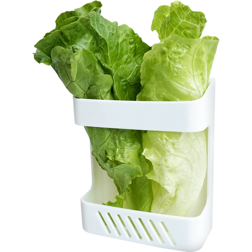 БЕСПЛАТНАЯ ДОСТАВНАЯ ПАРРЫ Птицы.