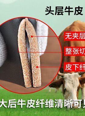 皮带条斯博恩纯牛皮男士无头
