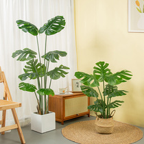 Nordic Light Lavish Emulation Tortoise Back Leaf Bamboo Large Indoor Living Room Floor Home Building View Potted Plant Green Planting Decorative Pendulum