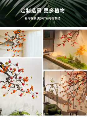 定制柿子树造景打造新中式神韵
