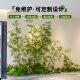 Simulated bamboo green plant landscaping Zen landscape