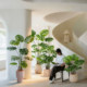 Unlock gentle home