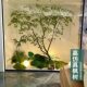 Simulated green plants living room leaves indoor and outdoor bird of paradise