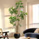 Decoration floor-standing potted plant indoor fake tree next to the sofa in the living room