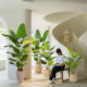 Light luxury simulated bird of paradise floor-standing ornament for living room