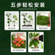 Simulated green plant landscaping combination indoor display window
