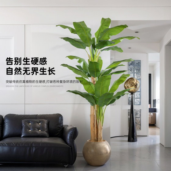 Xiaohongshu blogger recommends simulated green plants