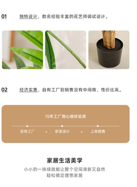 仿真加州蒲葵室内大型装饰摆件