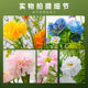 Simulated green plants and landscaping combination with artificial flowers