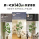 High-quality duck foot wood simulation for home soft furnishings