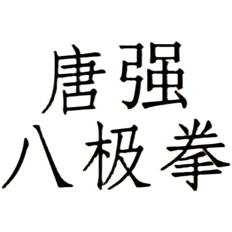 唐强八极拳精修八极拳小架12345路铁臂罗汉两仪桩十三把哼哈二气 - 图0