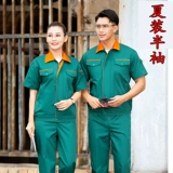 Осенний летний комбинезон, зеленая униформа медсестры, делается под заказ, с печатью вашего логотипа