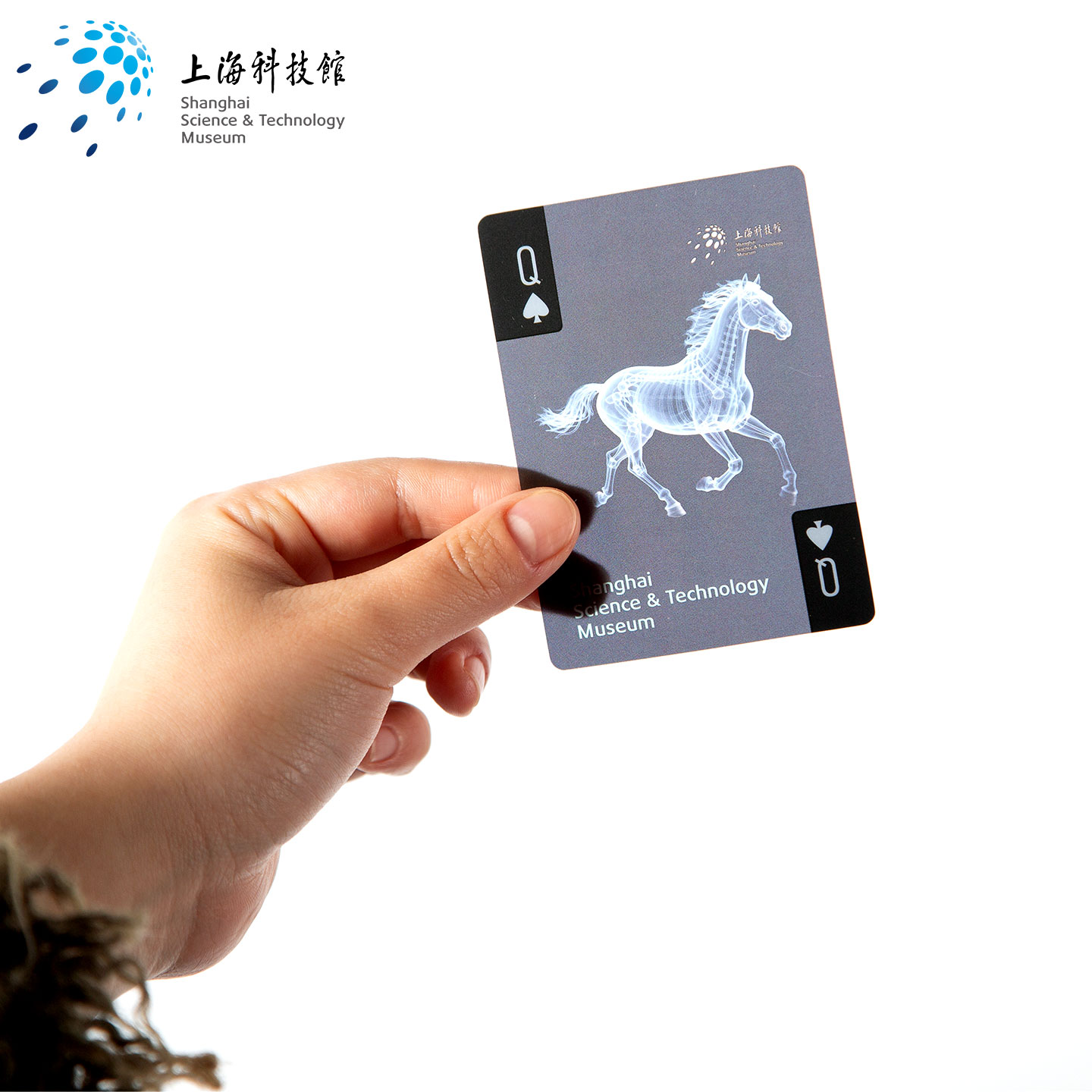 上海科技馆 | 遇见科学家伦琴之光胶片扑克牌透光卡片博物馆文创