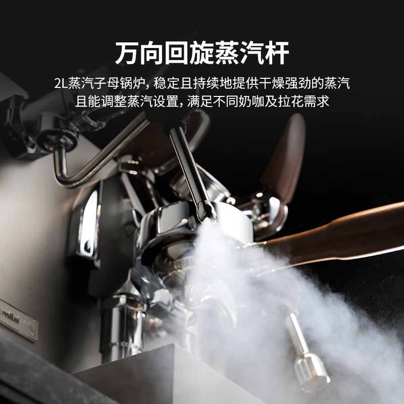 Gemile Italian semi-automatic coffee machine E61 transformer