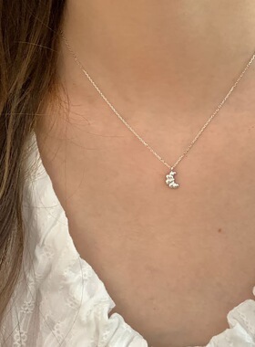 S925纯银牛角包项链女2026新款爆款轻奢小众高级感锁骨链精致颈链