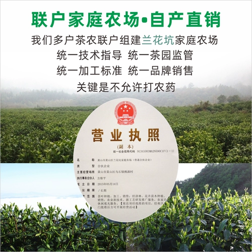 兰花坑 Чай Мао Фэн, чай «Горное облако», зеленый чай, 2024 года