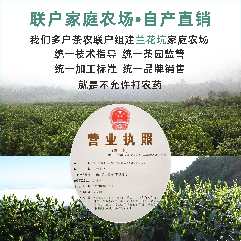 兰花坑黄山毛峰茶叶2022年新茶特级明前黄山野茶手工茶安徽绿茶