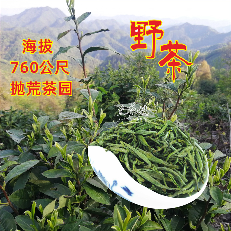 兰花坑黄山毛峰茶叶2022年新茶特级明前黄山野茶手工茶安徽绿茶