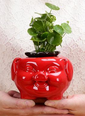 猪柿如意水培花瓶陶瓷水养绿萝花盆花器客厅桌面办公桌装饰品摆件