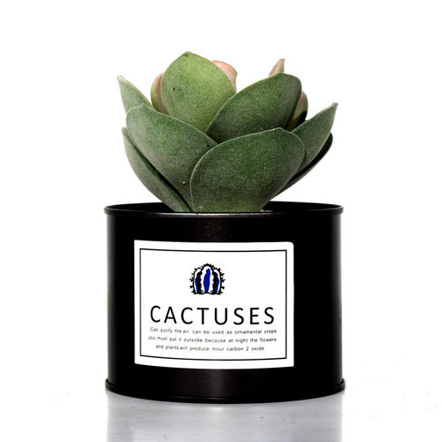 洗手间轻奢卫浴样板房间浴室卫浴套装现代分装瓶香薰摆件软装饰品 - 图1