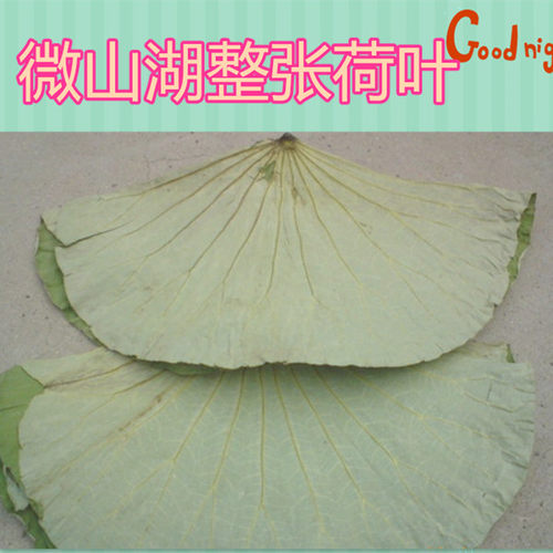 微山湖野生整张荷叶荷叶茶干荷叶片泡茶荷叶饭荷叶鸡500g包邮 - 图0