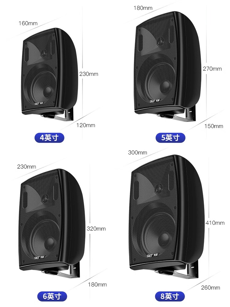 SAST/先科 P6壁挂音响店铺专用蓝牙功放商用挂墙式重低音室内套装