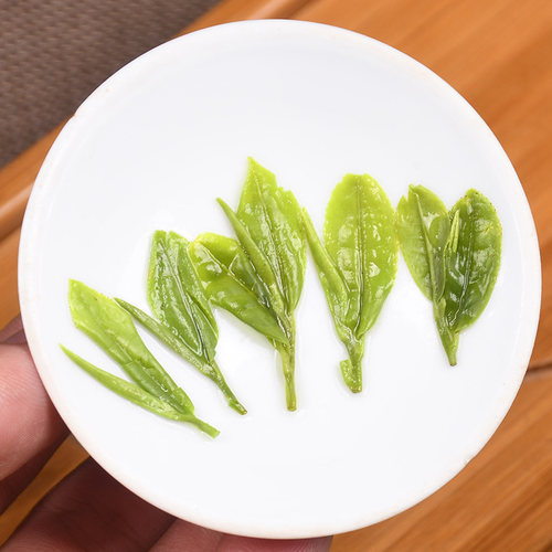 2026年新茶 龙井茶绿茶正宗明前一级茶叶礼盒装过节送礼长辈 - 图2